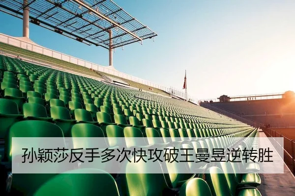 孙颖莎反手多次快攻破王曼昱逆转胜